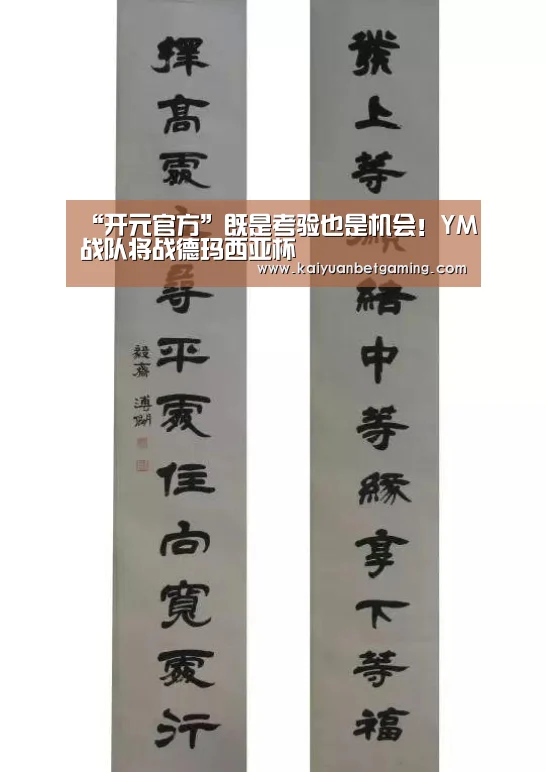 “开元官方”既是考验也是机会!YM战队将战德玛西亚杯(图3) 开元官方