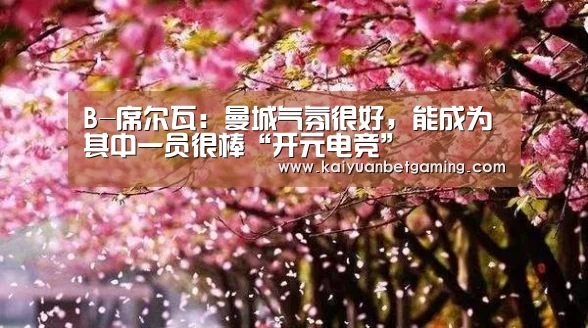 B-席尔瓦:曼城气氛很好,能成为其中一员很棒“开元电竞”(图3) 开元平台